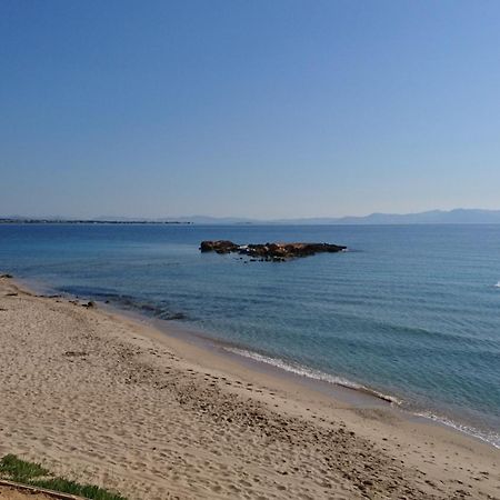 Summerhouse Peggy: Close To Athens Airport By The Sea Artemida  Bagian luar foto